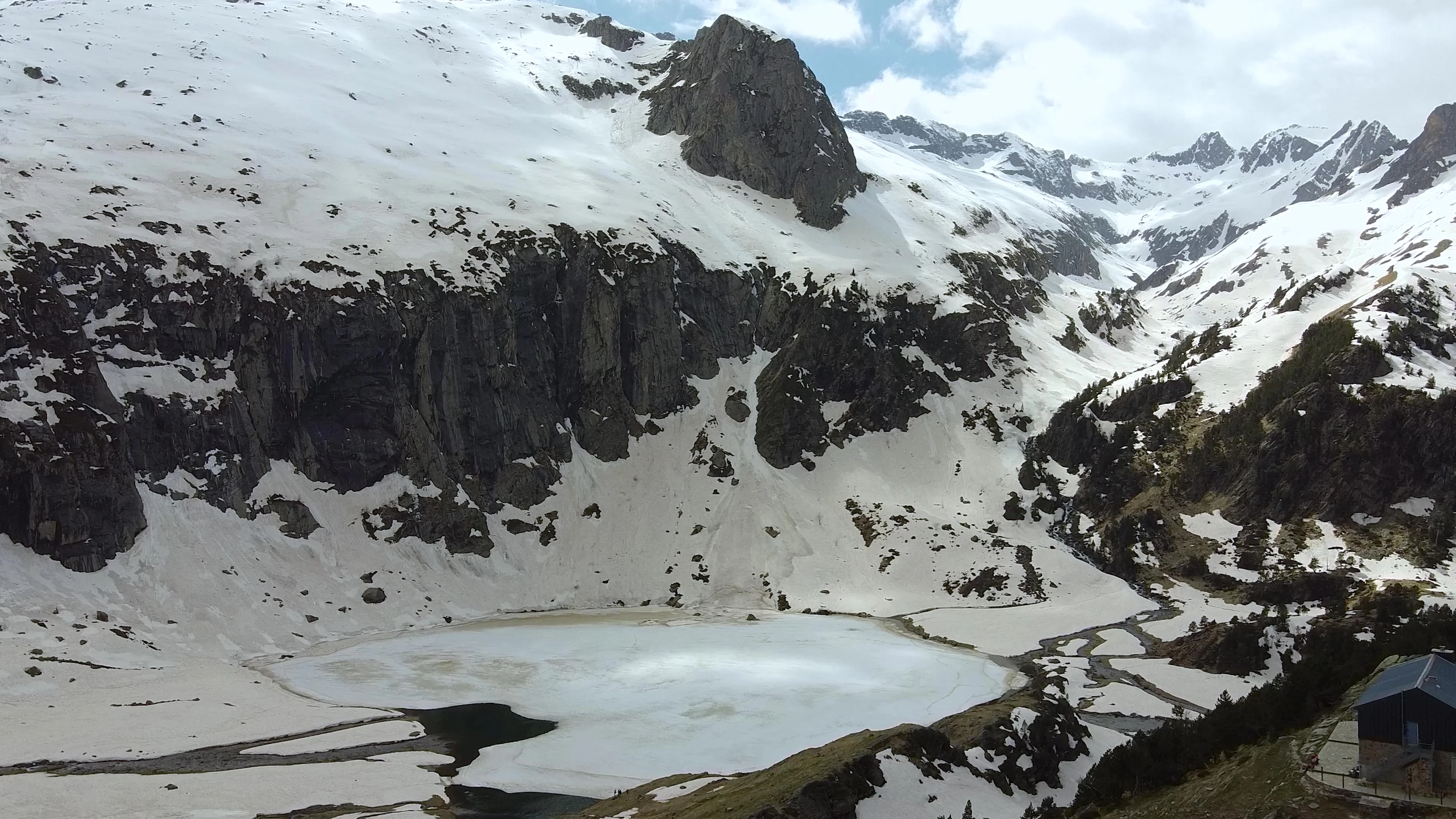 Image1
