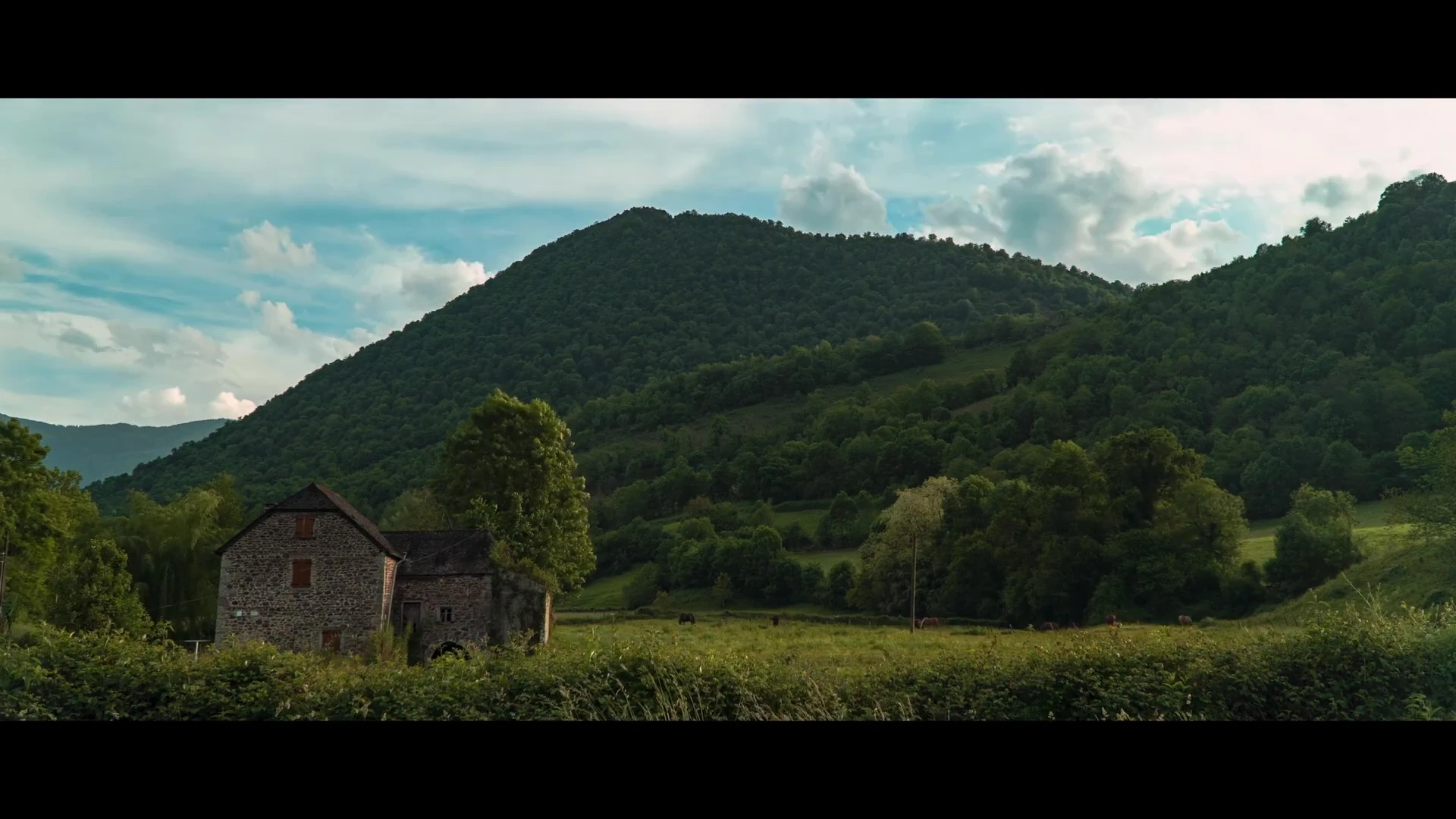 Image7